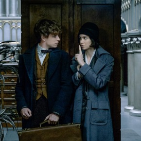 Fantastic Beasts and Where to Find Them
